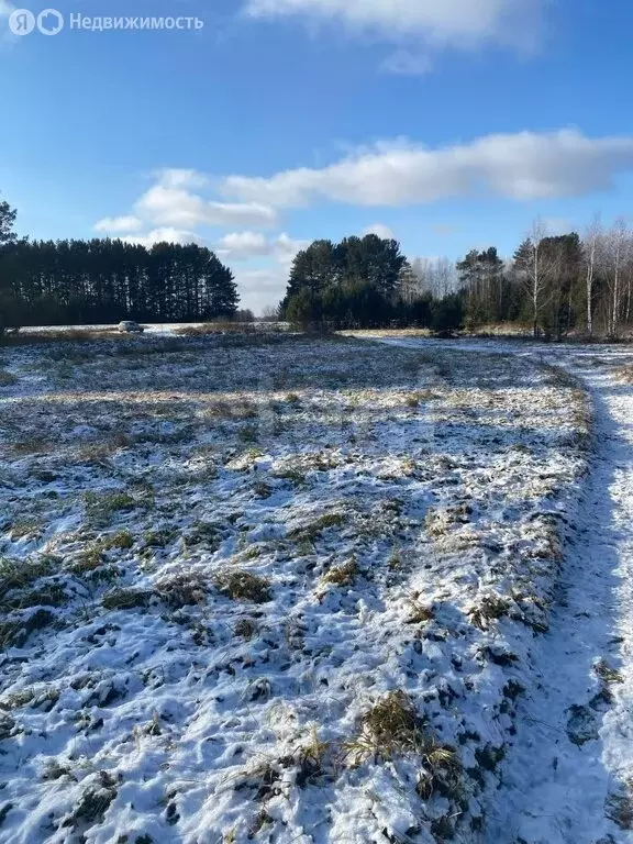 Участок в Тарский район, Заливинское сельское поселение, деревня ... - Фото 1