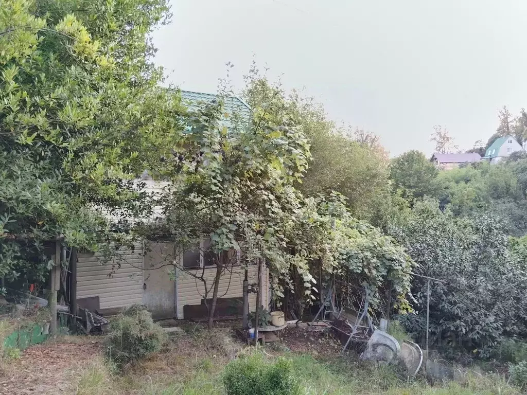 Участок в Краснодарский край, Сочи городской округ, с. Раздольное ул. ... - Фото 0