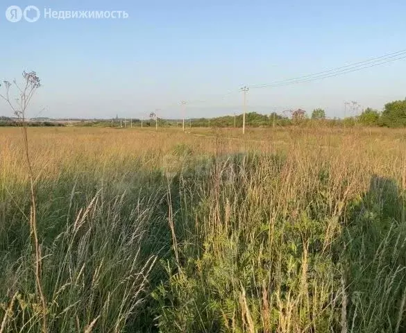 Участок в Калининградская область, Гурьевский муниципальный округ, СНТ ... - Фото 2