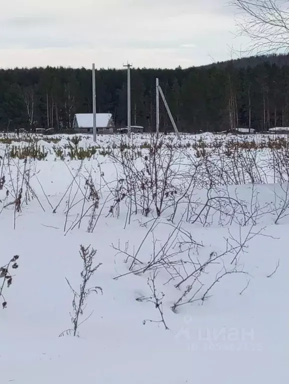 Участок в Свердловская область, Кушва  (51.0 сот.) - Фото 0