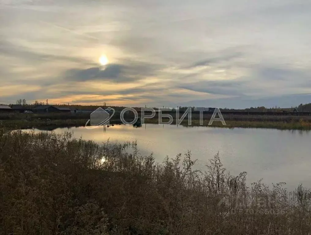 Участок в Тюменская область, Нижнетавдинский район, Здоровье-3 СТ ул. ... - Фото 0