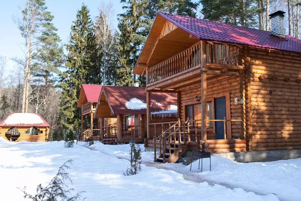 Дом в Псковская область, Гдовский район, Спицинская волость, д. ... - Фото 1