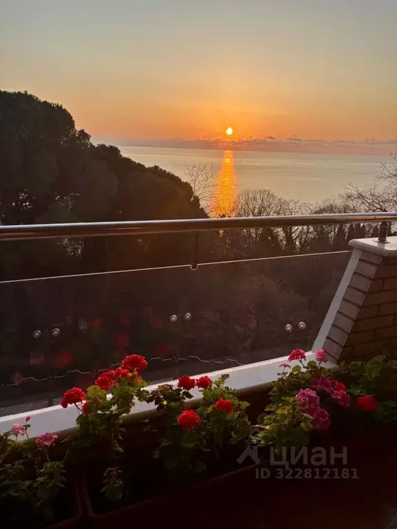 5-к кв. Краснодарский край, Сочи Курортный просп., 95а (270.0 м) - Фото 1
