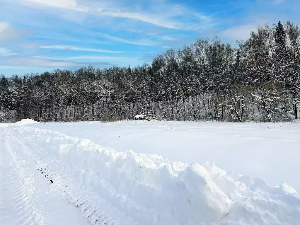 Участок в Московская область, Подольск городской округ, Пузиково кп 74 ... - Фото 2