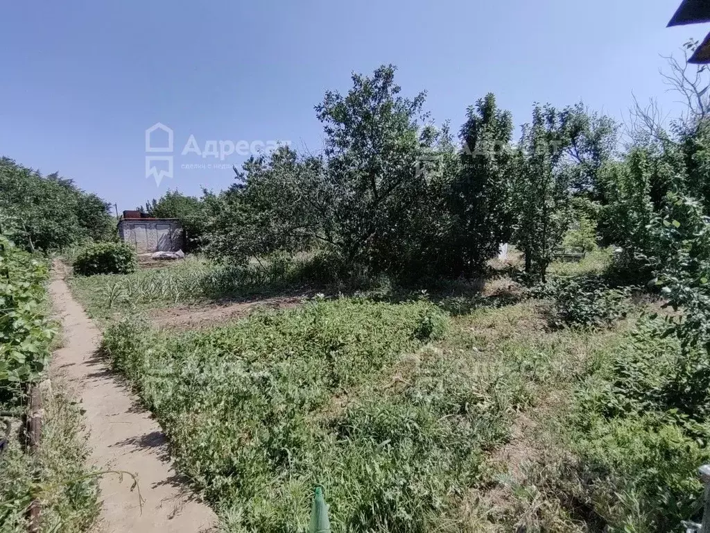 Дом в Волгоградская область, Дубовский район, Пичужинское с/пос, Сталь ... - Фото 1