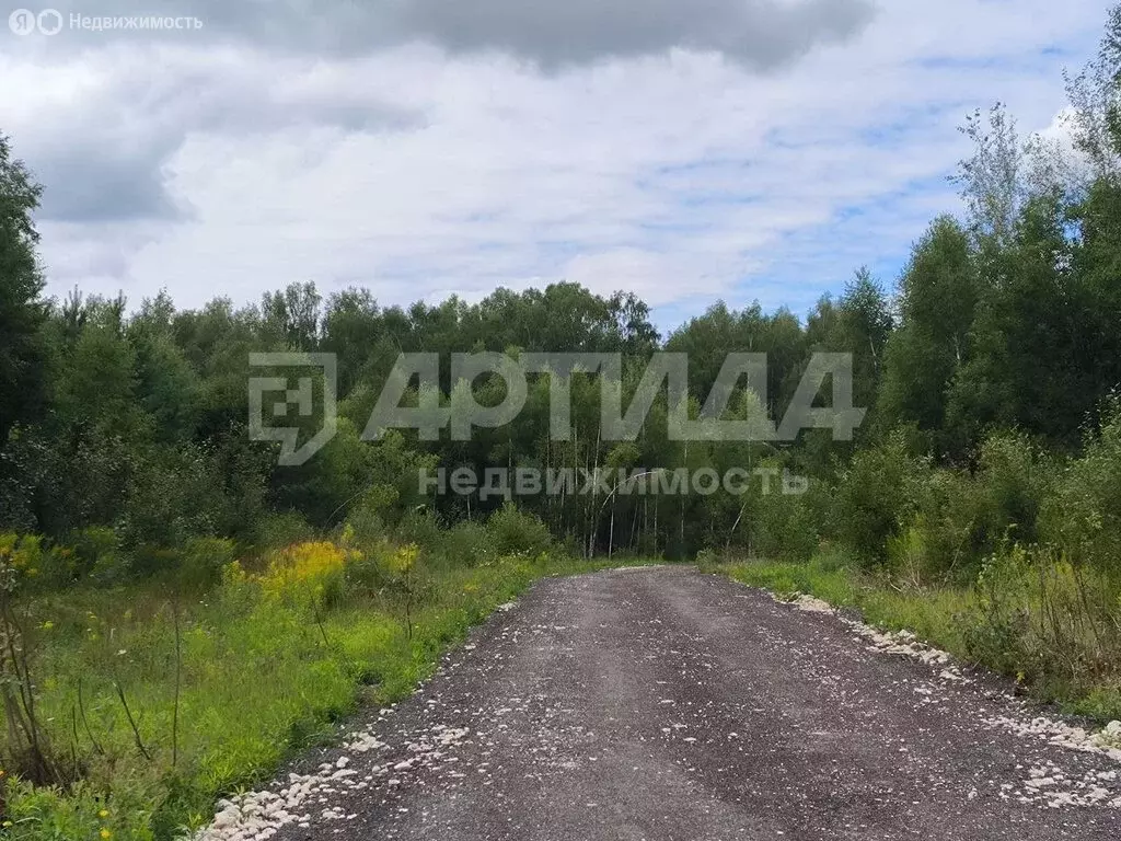 участок в нижегородская область, богородский муниципальный округ, . - Фото 1