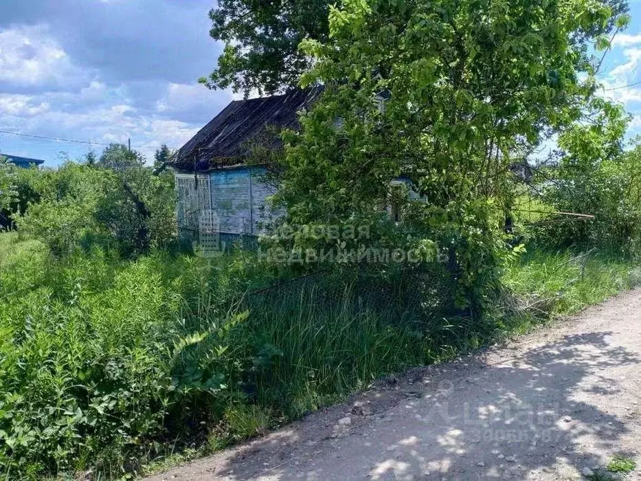 Участок в Новгородская область, Новгородский район, Панковское ... - Фото 1