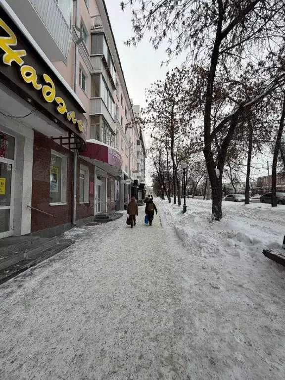 Торговая площадь в Свердловская область, Екатеринбург просп. Ленина, ... - Фото 2