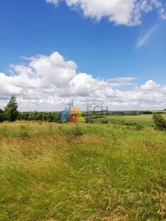 Участок в Тульская область, Куркинский район, Михайловское с/пос, д. ... - Фото 1