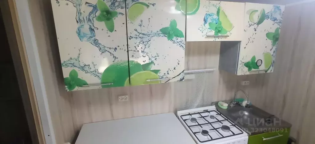 2-к кв. Тамбовская область, Мичуринск Советская ул., 401 (44.1 м) - Фото 2