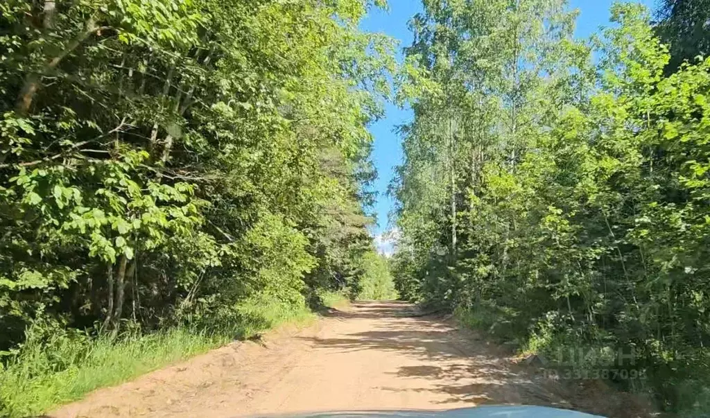 Участок в Новгородская область, Демянский муниципальный округ, д. ... - Фото 2