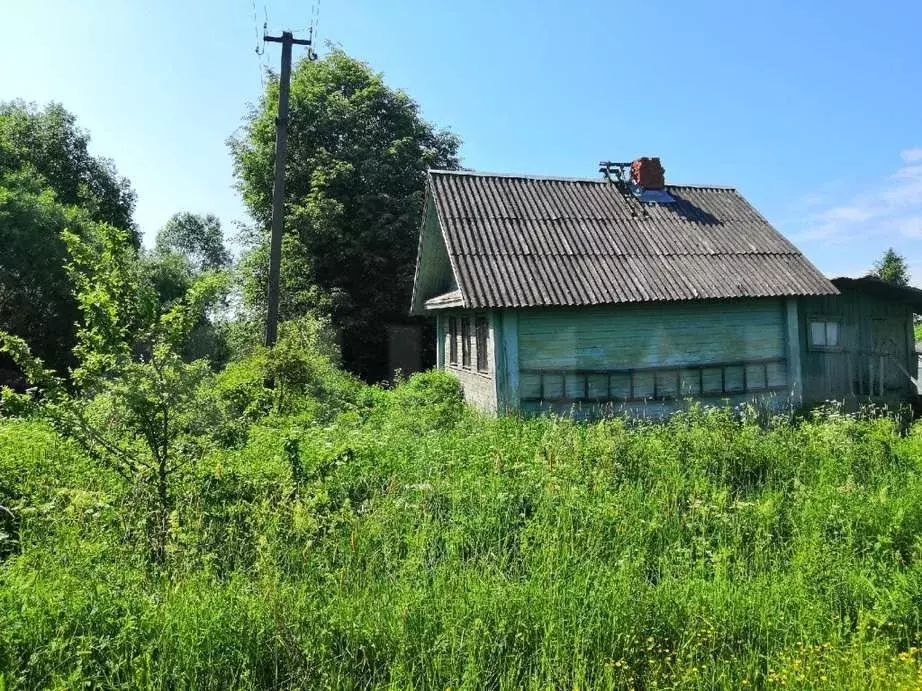 Долгово. Деревня Долгово Новгородский район. Деревня Долгово Новгородской области Новгородского района. Новгородский р-н, д. Долгово. Долгово Новгородская область жители деревни.