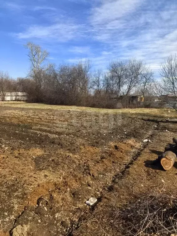 Дом в Амурская область, с. Тамбовка ул. Тамбовская, 125А (28 м) - Фото 1