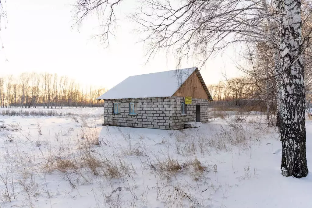 Дом в посёлок Элитный, Рябиновая улица, 31 (70 м) - Фото 0