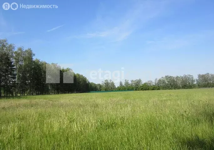 Участок в Новосибирский район, Раздольненский сельсовет, село Гусиный ... - Фото 1