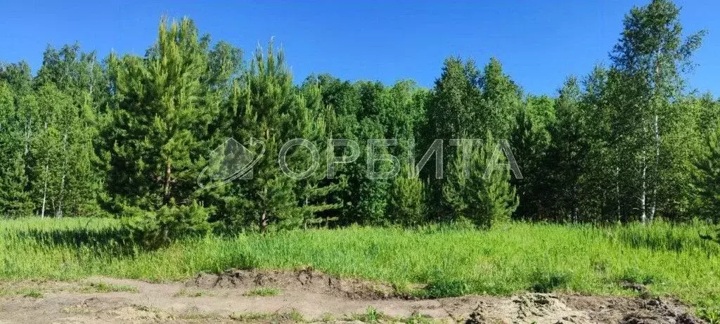 Участок в Тюменская область, Нижнетавдинский район, Тюневское с/пос, ... - Фото 1