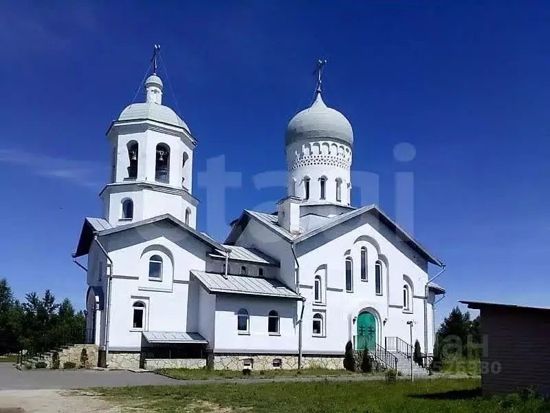 Участок в Псковская область, Печорский муниципальный округ, д. Моложва ... - Фото 1