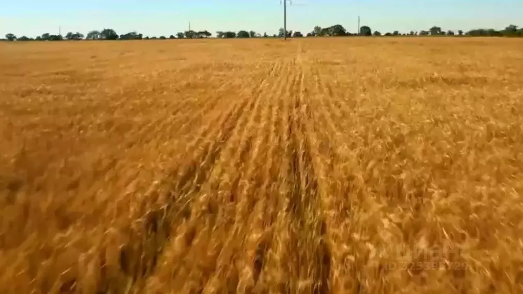 Участок в Крым, Сакский район, с. Штормовое  (6.0 сот.) - Фото 2