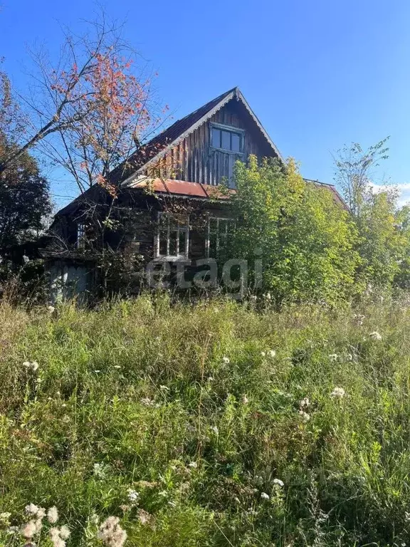 Дом в Удмуртия, Сюмсинский район, д. Верх-Юс Центральная ул. (53 м) - Фото 0