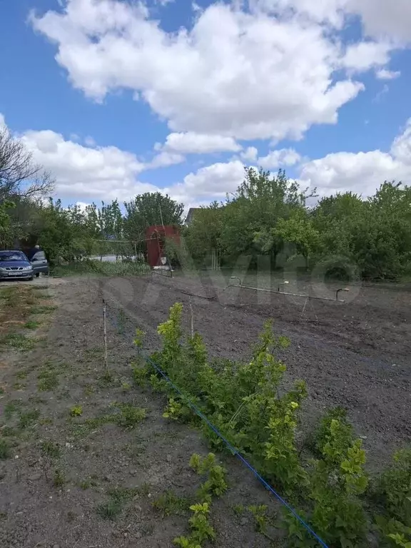 Участок 6 га (СНТ, ДНП) - Фото 1