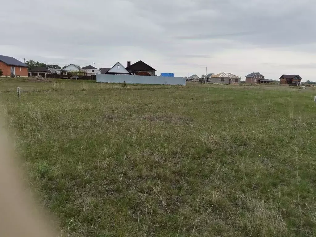 Участок в Ульяновская область, Чердаклы рп ул. Камышинская (8.0 сот.) - Фото 2