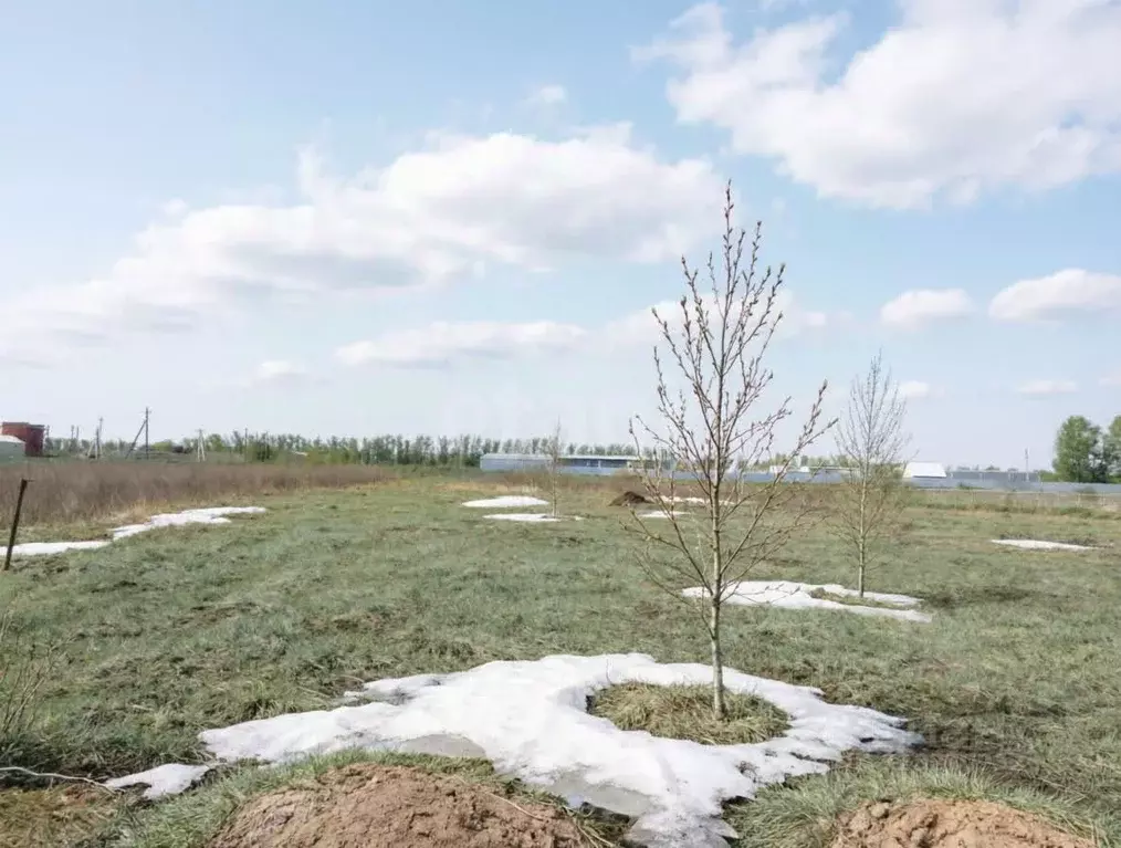 Участок в Тульская область, Тула городской округ, д. Вечерняя Заря 5 ... - Фото 1