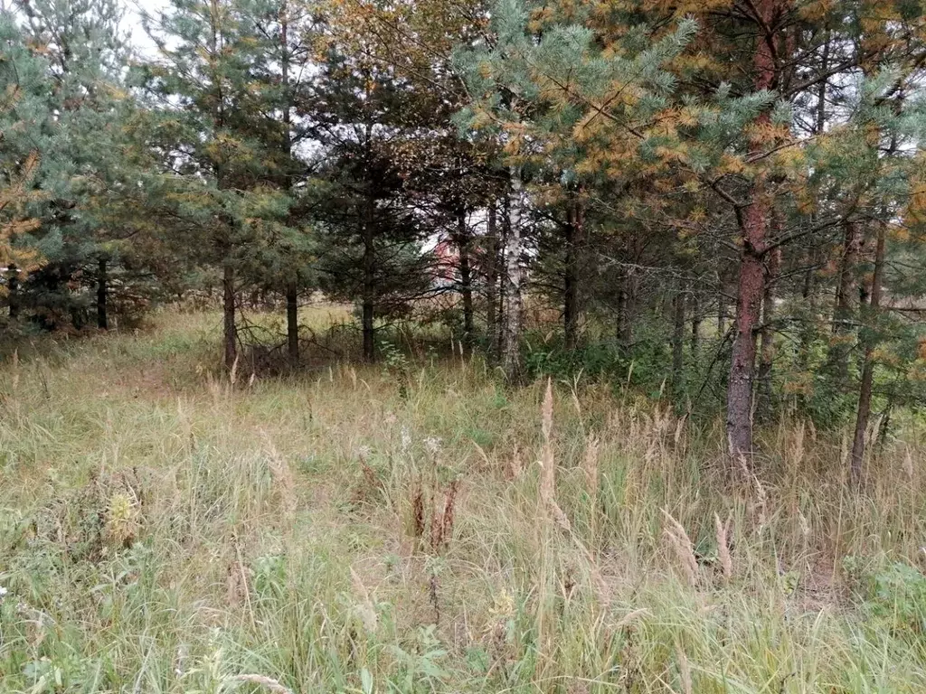 Участок в Московская область, Богородский городской округ, с. ... - Фото 2