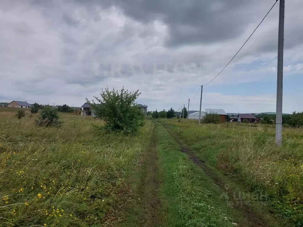 Участок в Алтай, Майминский район, с. Подгорное ул. Прибрежная (15.0 ... - Фото 1