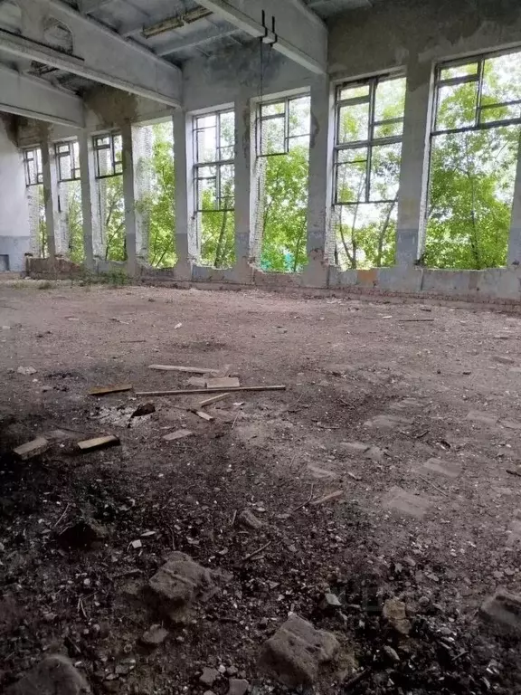 Помещение свободного назначения в Курганская область, Мишкинский ... - Фото 1