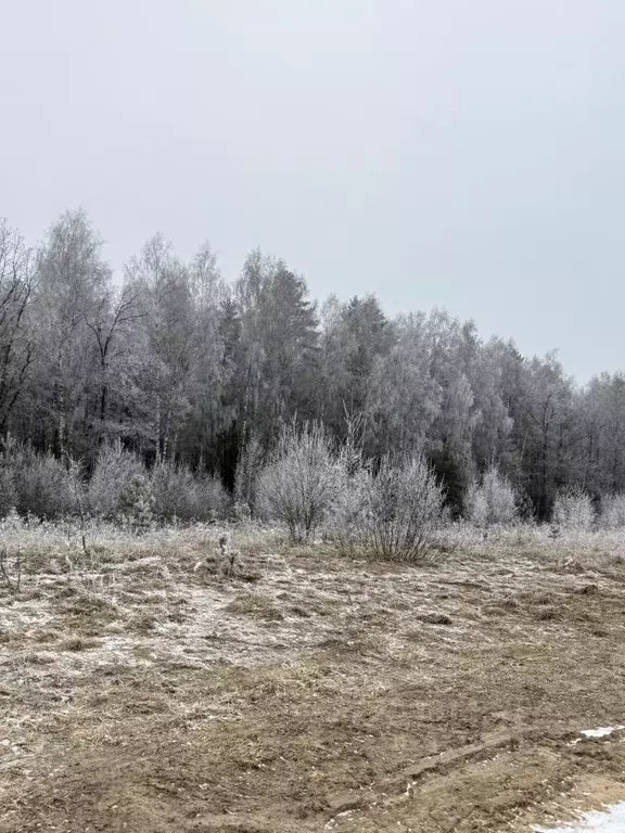 Участок в Владимирская область, Владимир д. Уварово, ул. Дубровка ... - Фото 0