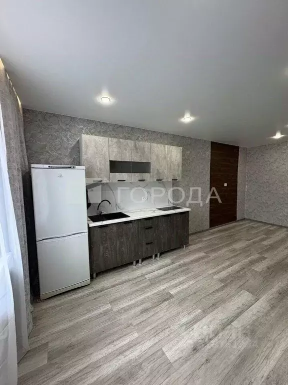 2-к кв. Алтайский край, Барнаул ул. Анатолия, 315 (36.3 м) - Фото 0
