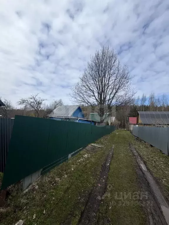 Участок в Ярославская область, Рыбинск Шекснинский п/р, Микрорайон ... - Фото 0