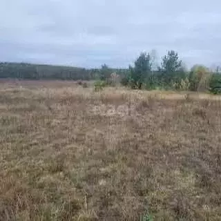 Участок в Амурская область, Благовещенск 5-я Стройка мкр,  (14.0 сот.) - Фото 1