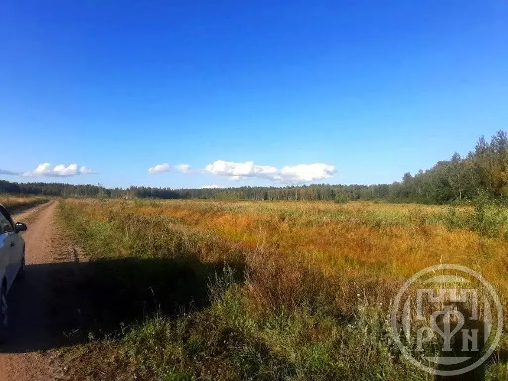 Участок в Ленинградская область, Приозерский район, Красноозерное ... - Фото 1