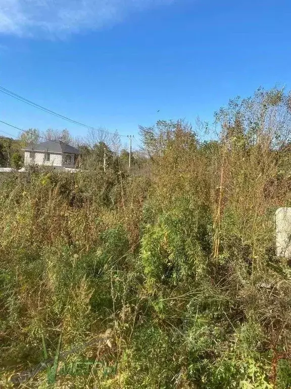 Участок в Приморский край, Артем Сопка СНТ,  (10.0 сот.) - Фото 2