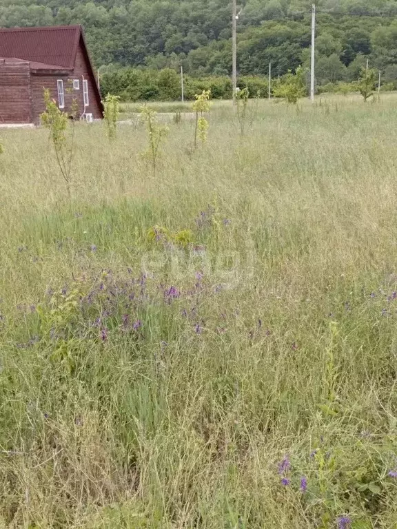 Участок в Краснодарский край, Горячий Ключ муниципальный округ, с. ... - Фото 1