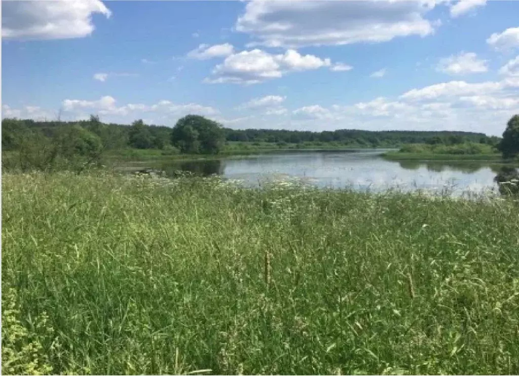 Участок в Тверская область, Кимрский муниципальный округ, д. Романово  ... - Фото 0