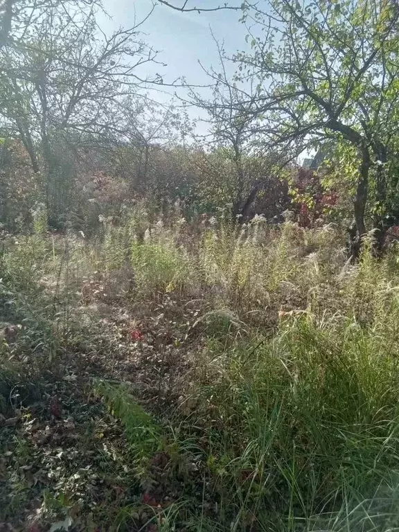 Участок 6 сот. (СНТ, ДНП) - Фото 0