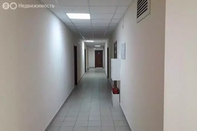 Офис (46.5 м) - Фото 1