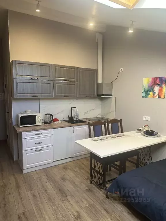 Студия Санкт-Петербург Челябинская ул., 37 (28.0 м) - Фото 1