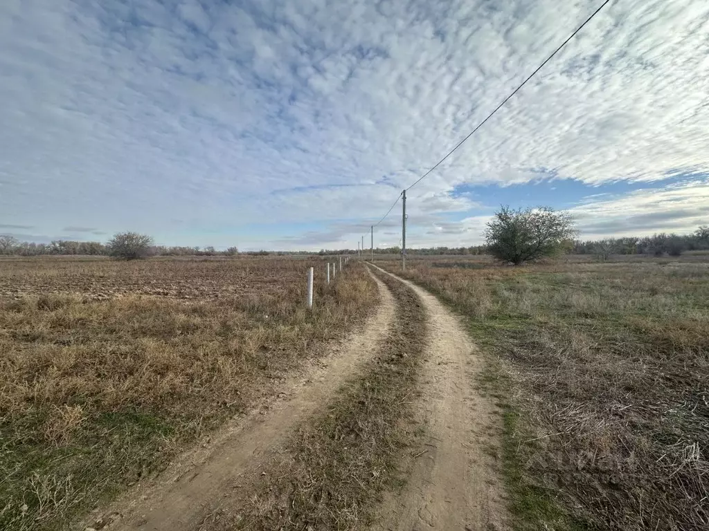Участок в Волгоградская область, Среднеахтубинский район, Красное ... - Фото 1