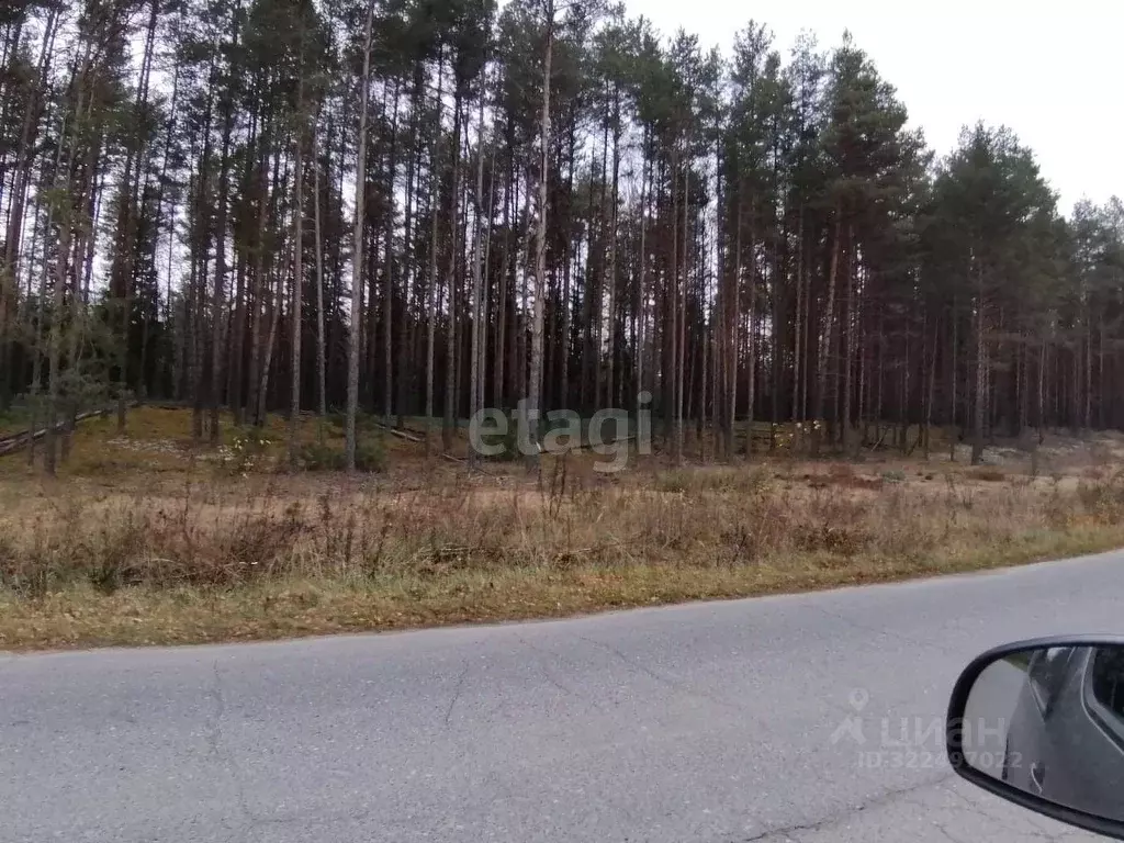 Участок в Вологодская область, Усть-Кубинский муниципальный округ, ... - Фото 1