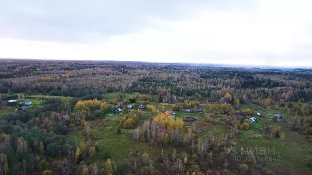 Участок в Тверская область, Селижаровский муниципальный округ, д. ... - Фото 1
