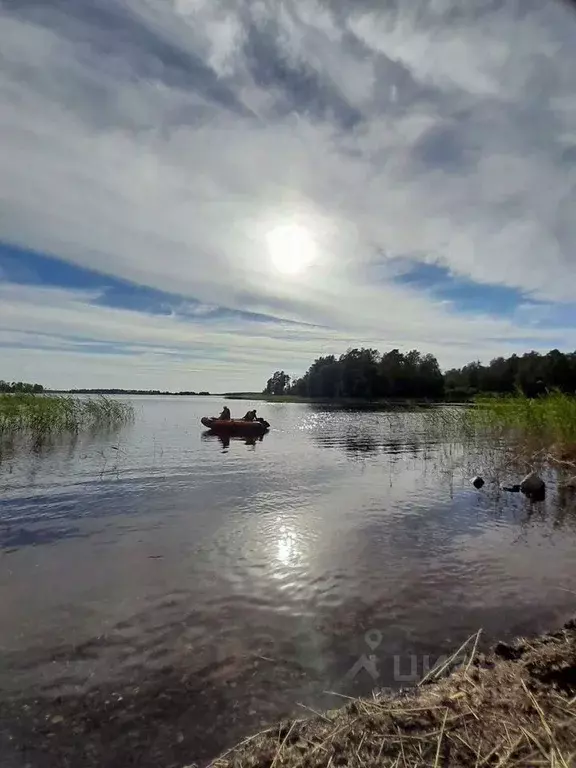Участок в Ленинградская область, Выборгский район, Гончаровское с/пос  ... - Фото 1