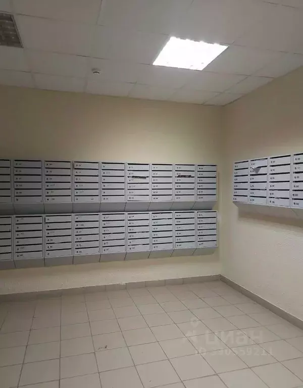 Студия Московская область, Домодедово Южный мкр, ул. ... - Фото 2