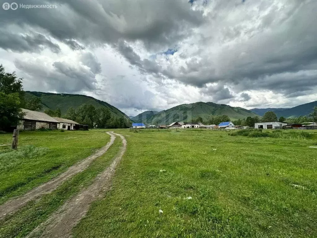 Участок в Усть-Коксинский район, село Чендек (18 м) - Фото 0