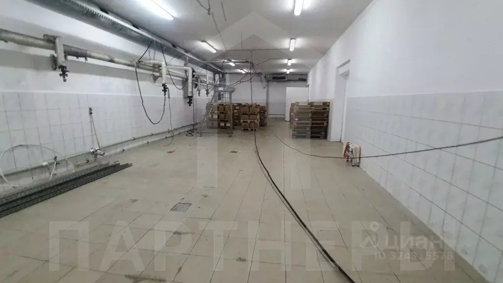 Помещение свободного назначения в Краснодарский край, Краснодар пос. ... - Фото 1