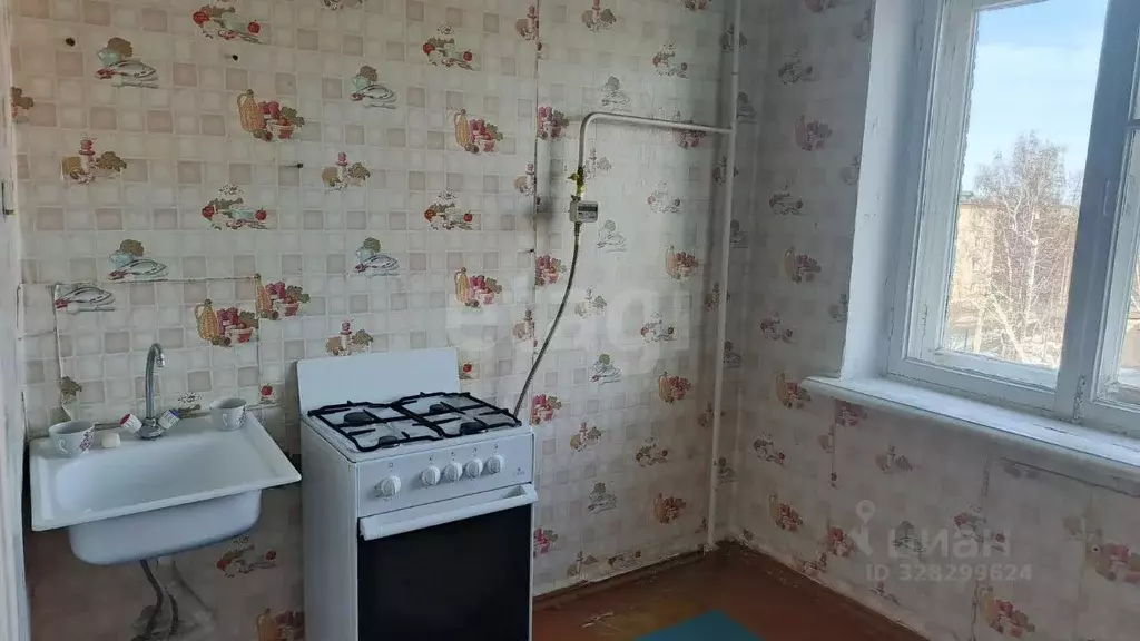 1-к кв. Челябинская область, Пласт ул. Строителей, 5 (30.4 м) - Фото 1