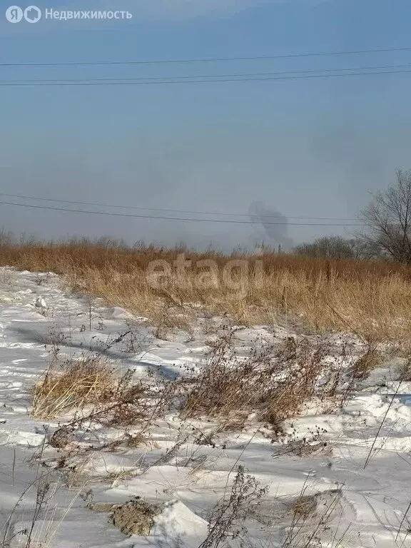 Участок в Благовещенск, СТ Василёк (7.25 м) - Фото 1