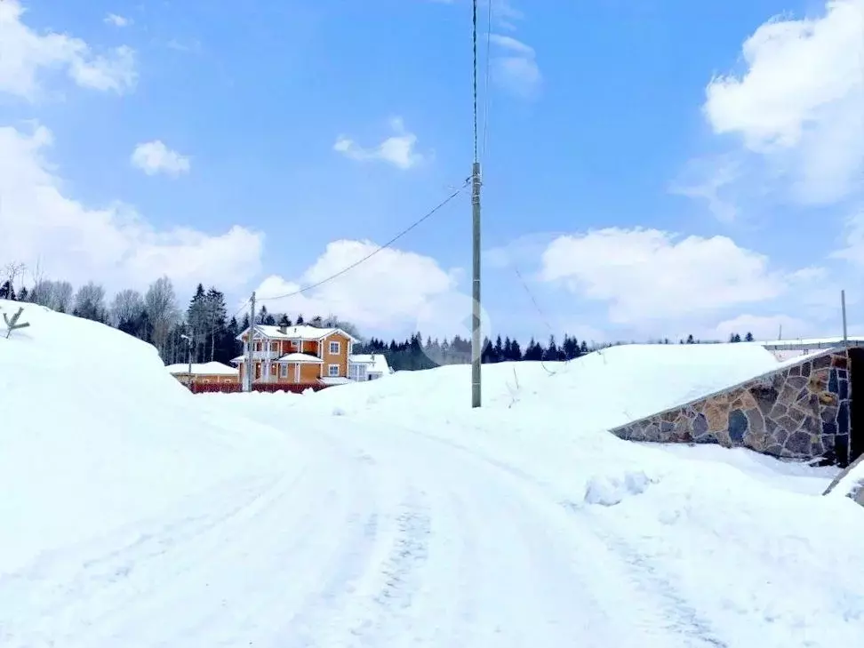 Участок в Ленинградская область, Ломоносовский район, Лопухинское ... - Фото 1